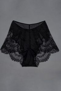 Sheer nylon and lace appliqué tap pants by Juel Park Photography by Tigz Rice Studios The Underpinnings Museum