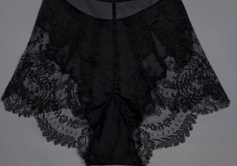 Sheer nylon and lace appliqué tap pants by Juel Park Photography by Tigz Rice Studios The Underpinnings Museum