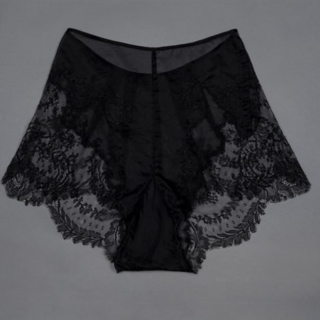 Sheer nylon and lace appliqué tap pants by Juel Park Photography by Tigz Rice Studios The Underpinnings Museum