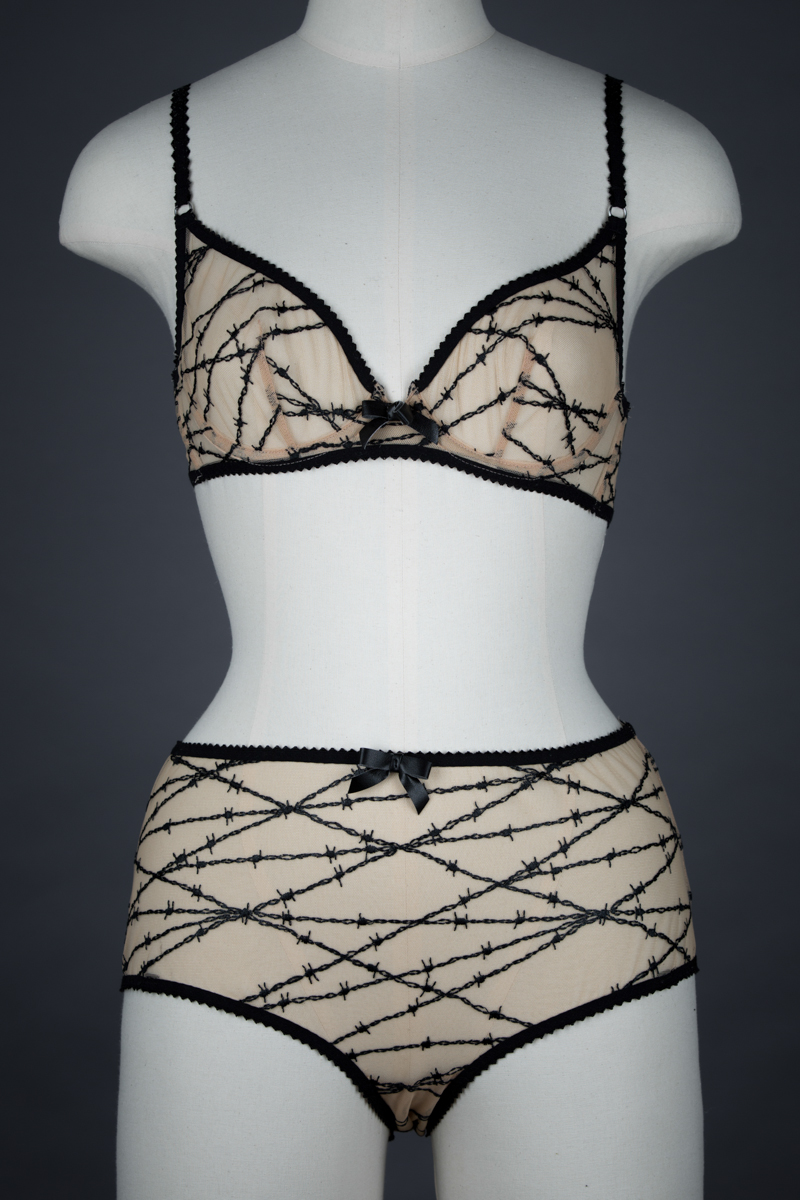 Embroidery Mesh Bra And Thong Set