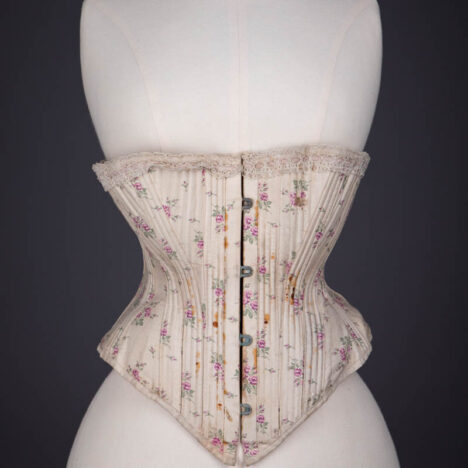 Unveiling the Mystery: Corsets, Basques, Bustiers & Waspies